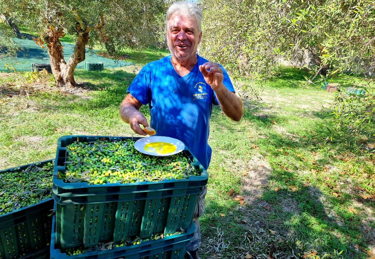 Viljelijät Happy Oliven takana