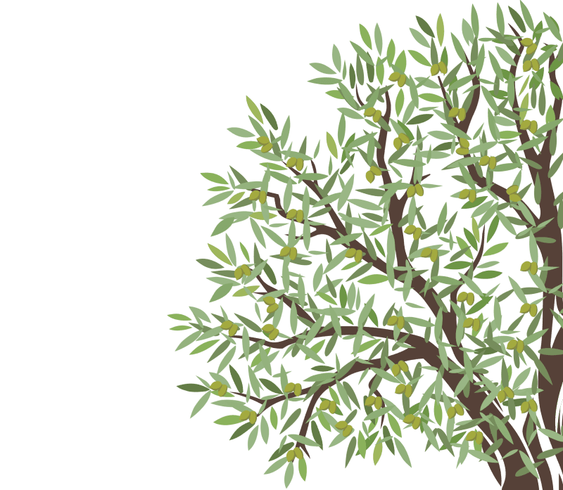 oliivipuun latva