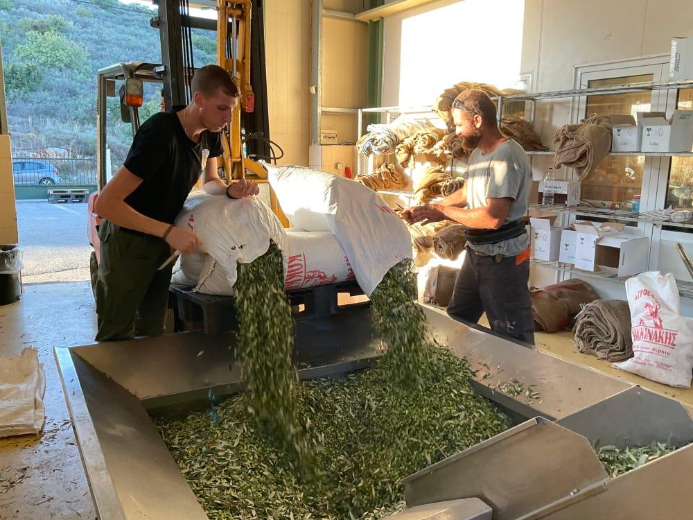 Oliivisakit ja korit oliiviöljyerottamolla