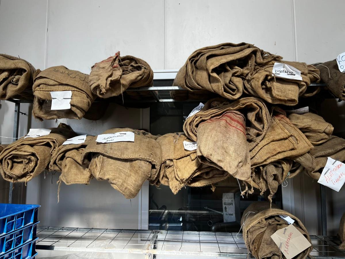 Oliiviöljyn minikurssi