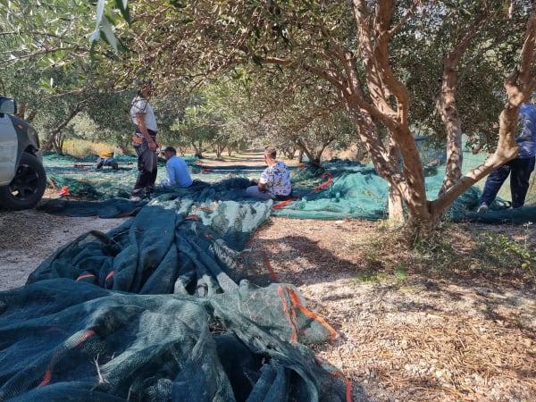 Osa 2: Pienviljely vs. tehoviljely