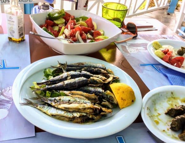 Osa 5: Näin käytät