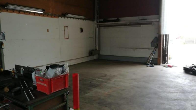 Pienviljelijöiden tuore oliiviöljy saadaan varhain korjatusta sadosta (Early Harvest)