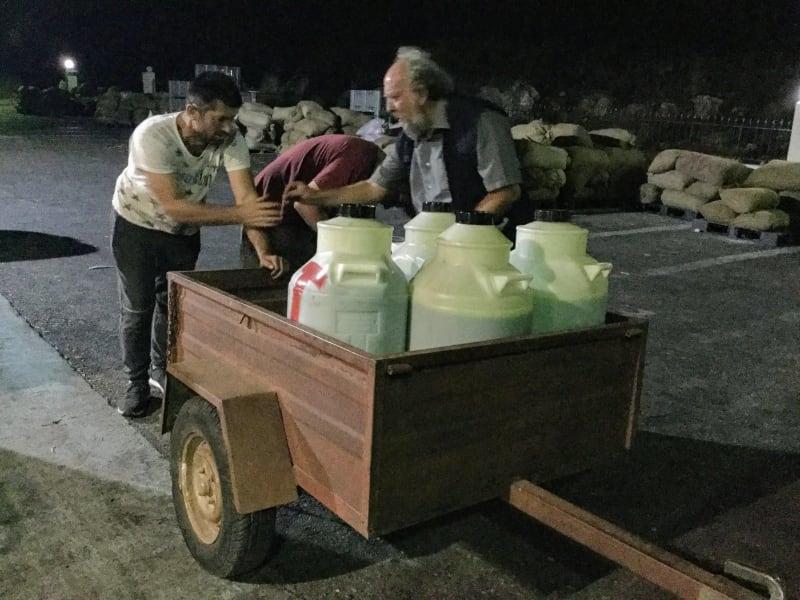 Pienviljelijöiden tuore oliiviöljy saadaan varhain korjatusta sadosta (Early Harvest)