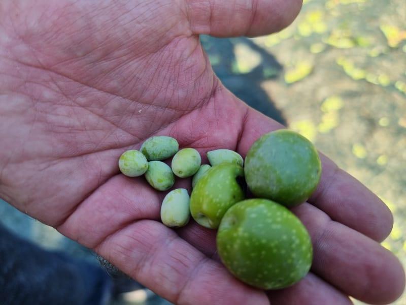 Satokausiedut rekisteröityneille asiakkaille