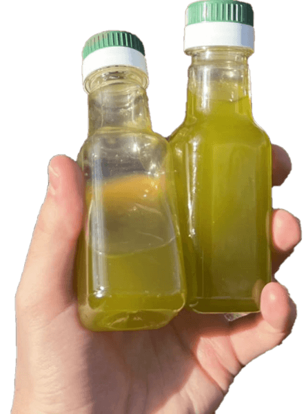 Uuden sadon vihreää nektaria